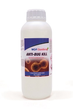 Anti Bug